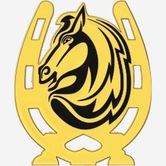 Набор топперов декоративных акриловых "Подкова" Золото 3,5х4 см 4 шт ТСК220, 235 ₽ Набор топперов декоративных акриловых "Подкова" Золото 3,5х4 см 4 шт ТСК220