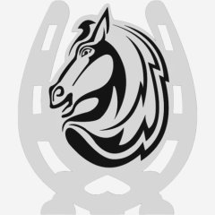 Набор топперов декоративных акриловых "Подкова" Серебро 3,5х4 см 4 шт ТСК402	, 240 ₽ Набор топперов декоративных акриловых "Подкова" Серебро 3,5х4 см 4 шт ТСК402