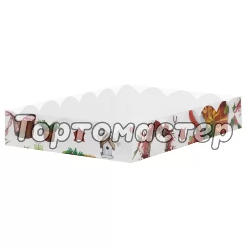 Коробка для сладостей с прозрачной крышкой "Xmas" 20х20х3,5 см 080457